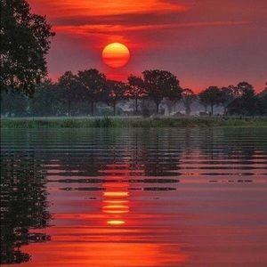 Meet your Posher, Mirza